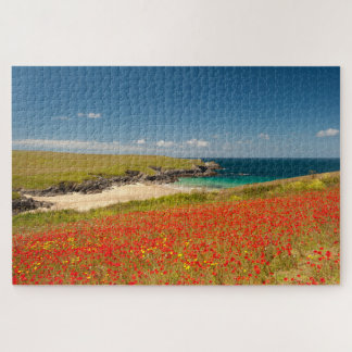 Cornish Coastal Poppy Fields