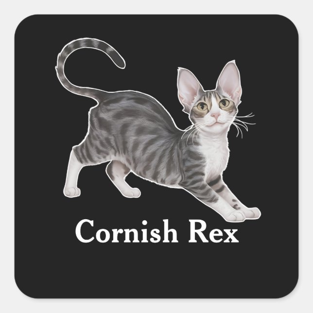 Cornish Rex Quadratischer Aufkleber (Vorderseite)