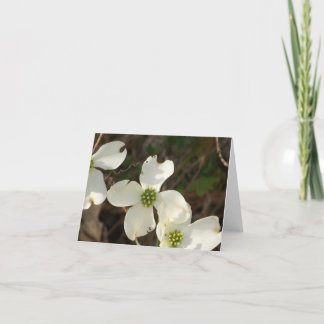 Cornouillers de carte de note