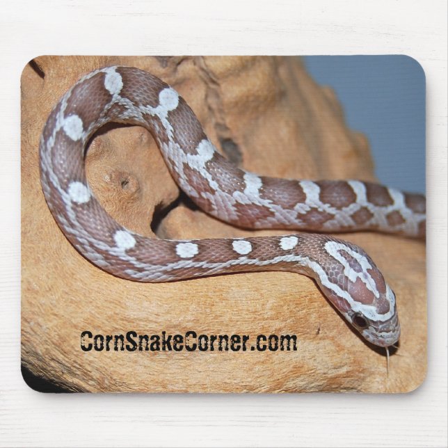 CornSnakeCorner Mousepad - besonders angefertigt (Vorne)