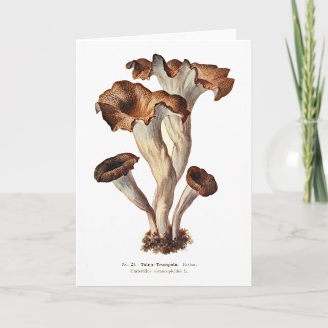 Cornucopioides Karte (Vorderseite)