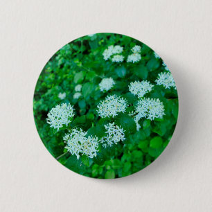 Cornus sanguinea Abzeichen Button