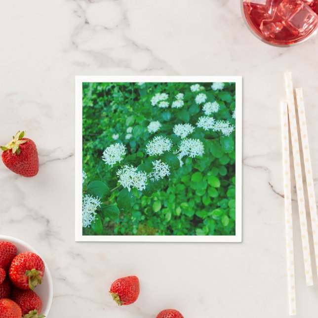 Cornus sanguinea Paper Napkins Serviette (Beispiel)