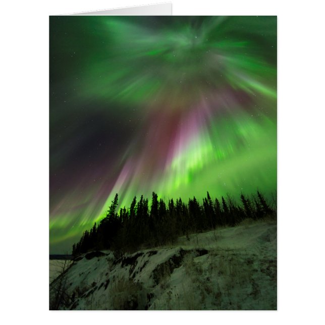 Corona Aurora (Vorderseite)