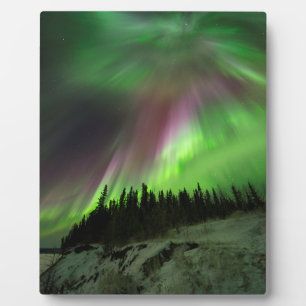 Corona Aurora Fotoplatte