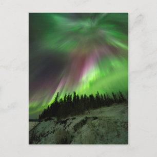 Corona Aurora Postkarte