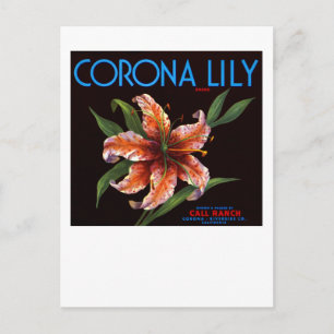 Corona Lily Postkarte