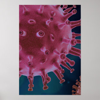 Corona-Virus-Mikrobiologie Poster