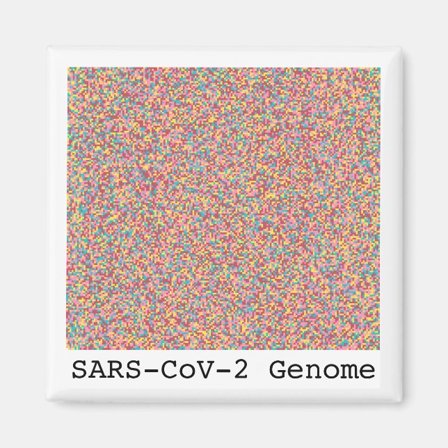 Coronavirus DNA Magnet (Vorne)