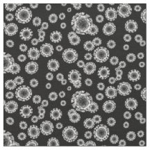 Coronavirus - Schwarz und Weiß