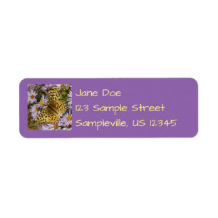 Coronis Fritillary zu den Aster-Blume von Grand Te