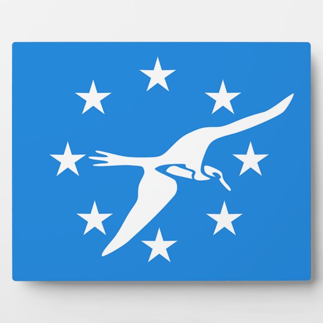 Corpus Christi City Flag Plaque Fotoplatte (Vorderseite)