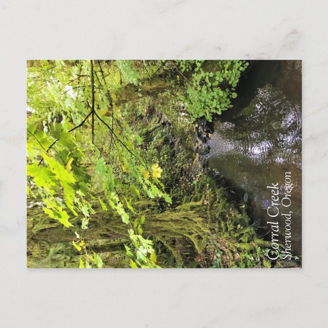 Corral Creek Postkarte (Vorderseite)