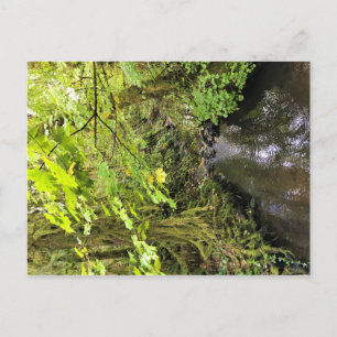 Corral Creek Postkarte