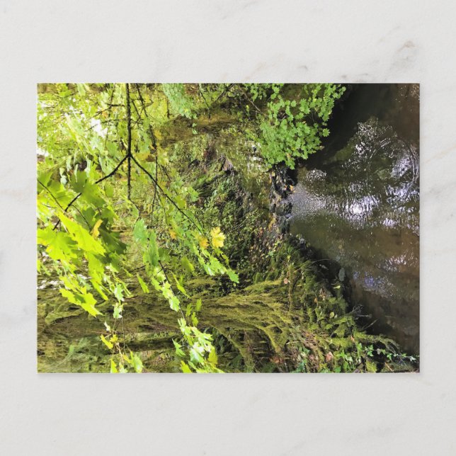 Corral Creek Postkarte (Vorderseite)