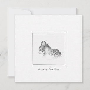 Correspondance Carte de dessin de chat court tacheté à l'intérieu