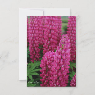 Correspondance Carte de note plat Lupine rose