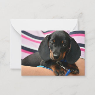 Correspondance Carte de note pour marionnettes Dachshund - Carte 