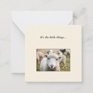 Correspondance Carte de note Sheep Mini Thank You
