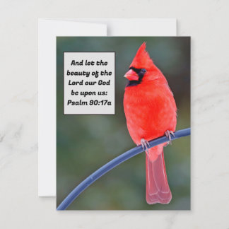 Correspondance Carte de remerciement Cardinal Rouge Saint-Valenti