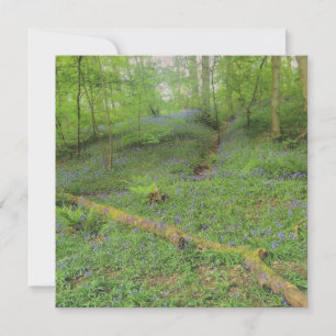 Correspondance Carte de voeux Hop Yard Wood