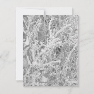 Correspondance Carte de vœux vierge personnalisée Arbre de pin gi