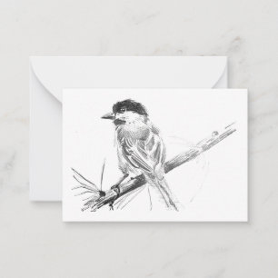 Correspondance Carte Noire à lime de chickadee