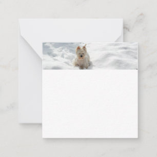 Correspondance Carte photo plat de chien Westie Blanche-Neige