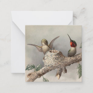 Correspondance Carte pour notes Vintage de la famille des colibri