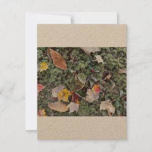 Correspondance Vapeur de natures, carte à note plate