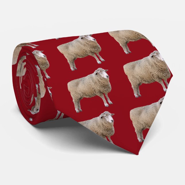 Corriedale sheep krawatte (Gerollt)