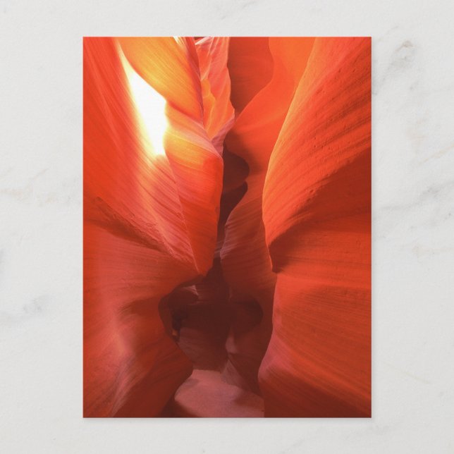 Corschraube Canyon Postkarte (Vorderseite)