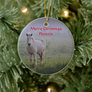 Corse personnalisée ami ornement de Noël