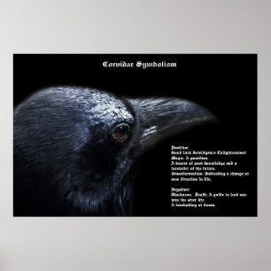 Corvidae Symbolism Poster