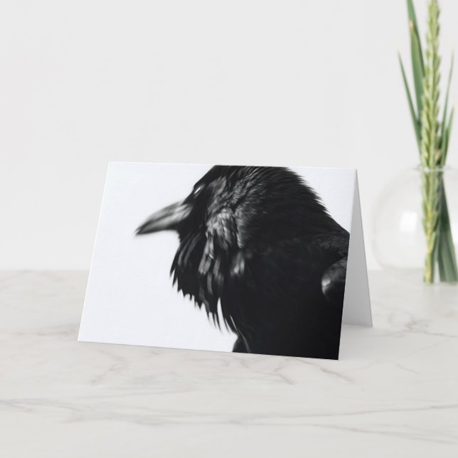 Corvus corax (allgemeiner Rabe) Karte (Vorderseite)
