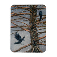 Corvus Corvidae und Zedernmagnet