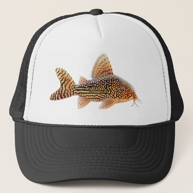 Corydoras Sterbai Wels-Hut Truckerkappe (Vorderseite)