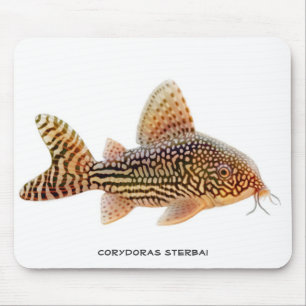 Corydoras Sterbai Wels Mousepad