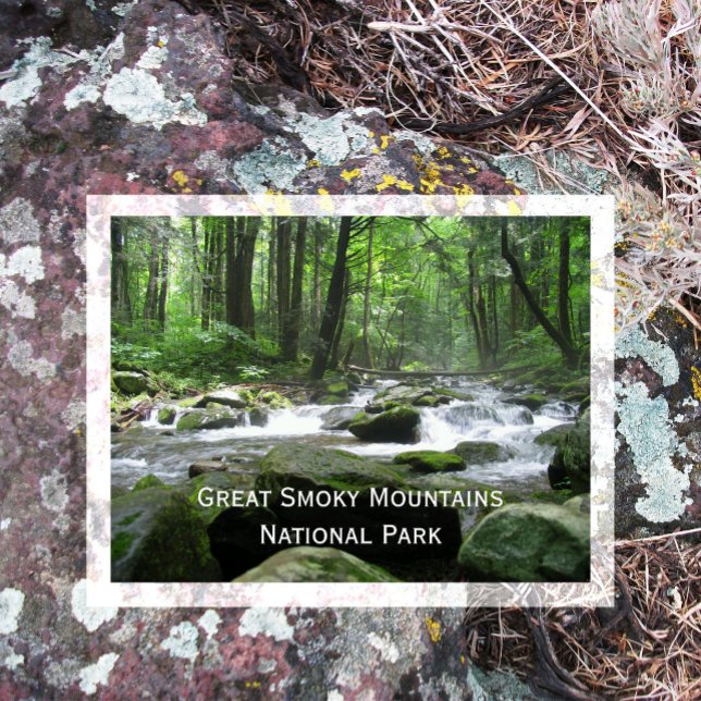 Cosby Creek, Great Smoky Mountain National Park Postkarte (Von Creator hochgeladen)
