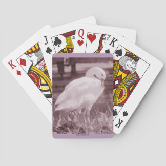 Coscoroba Schwan Spielkarten