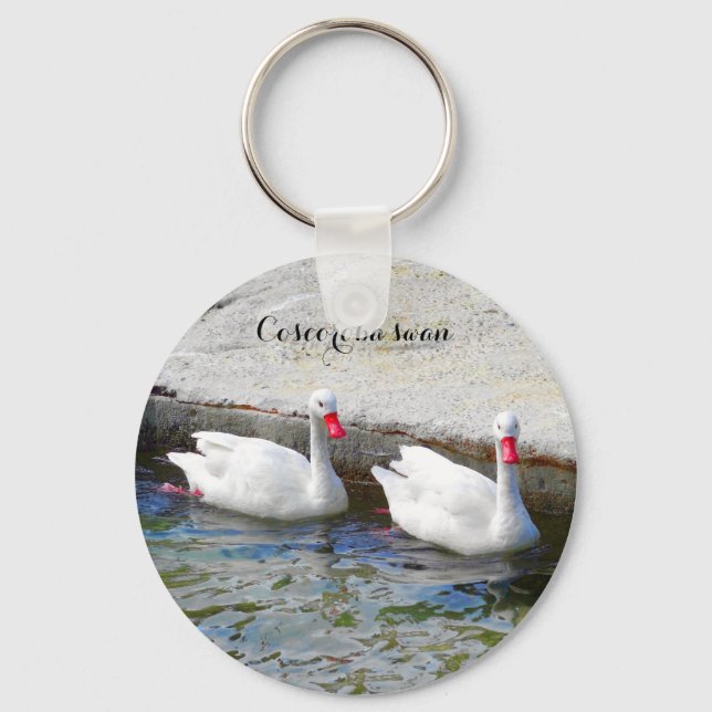 Coscoroba Swan #1 Schlüsselanhänger (Vorderseite)