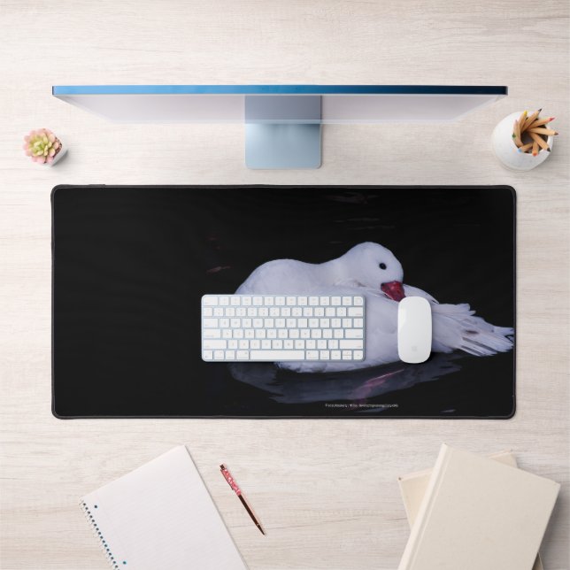 Coscoroba Swan P3442 Schreibtischunterlage (Büro 1)