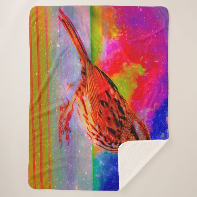 Cosmic Bird Dreamscape Art Print" Sherpadecke (Vorderseite)