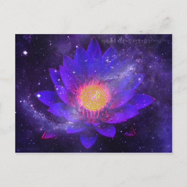 Cosmic Midnight Water Lily Postkarte (Vorderseite)