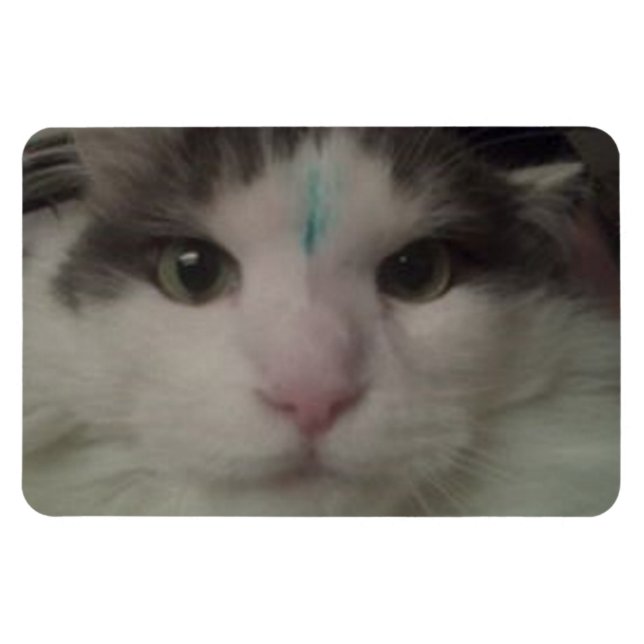 Cosmo 3 Custom Magnet (Horizontal)