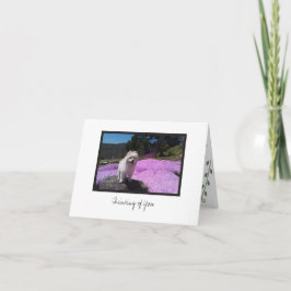 Cosmo #4 - Blankokarte Karte