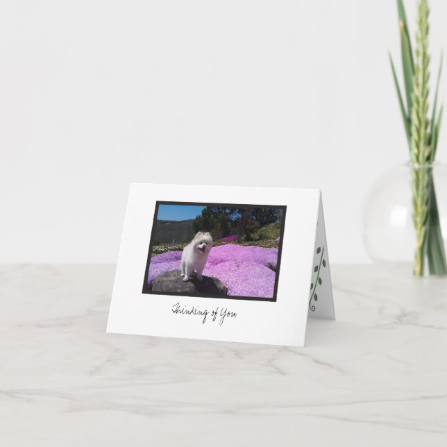 Cosmo #4 - Blankokarte Karte (Vorderseite)