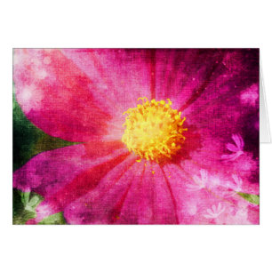 Cosmo-Blume