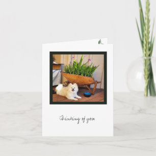 Cosmo Collection Blank Note Card Karte