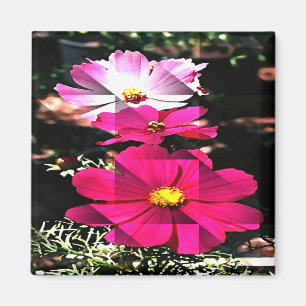 Cosmo Ferien...... Magnet